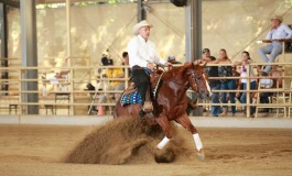 Reining : Futurity autrichien 2018