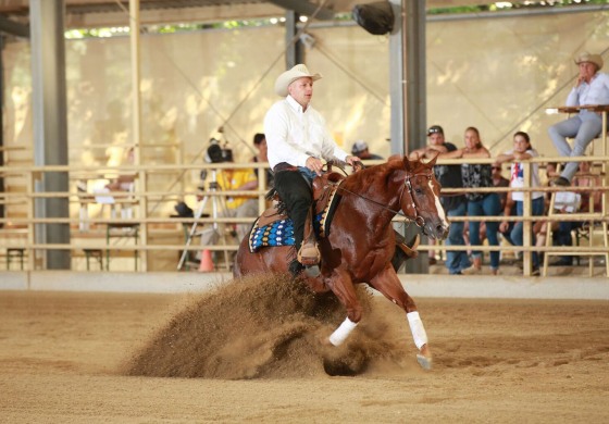 Reining : Futurity autrichien 2018