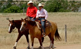 Le week-end prochain, venez nombreux au Winter Trophy de ranch sorting à Maillane (13)