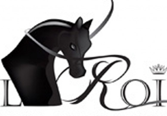 Toulouse fête le cheval