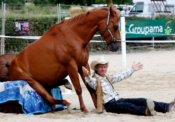 Festival estival western & country à La Plaine en Anjou, récit et photos