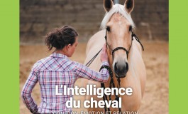 L’intelligence du cheval : on en parle à La Cense