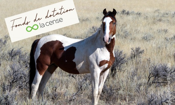 13 et 14 juin 2026, Yann Arthus-Bertrand, votre cheval et vous…