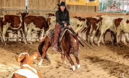 Cutting Show NCHA Approved chez Golden Horses Stables (Doubs)