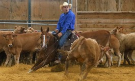 Authentic Cowboys 2017 à Lanuejols : le temps des cadors… en 300 photos