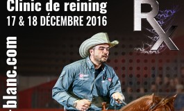 Clinic de reining de Gennaro Lendi à Entraigues