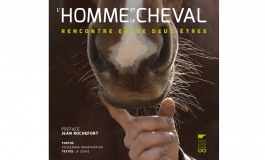 Le cheval expliqué à tous en toute beauté