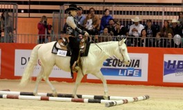 Equita... Grande fête du sport western incontournable...