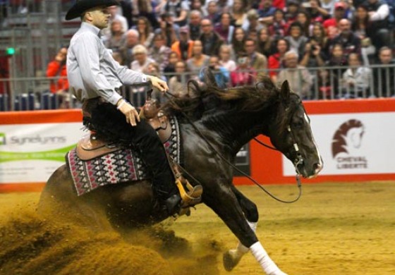 Equita Reining...