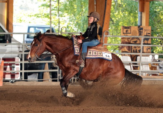 70 chevaux au Ranch de l’Etalon Blanc pour le Roux Spring Slide à Entraigues (84) les 8 et 9 avril 2017