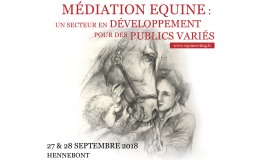 Médiation équine : deux jours indispensables autour du cheval partenaire