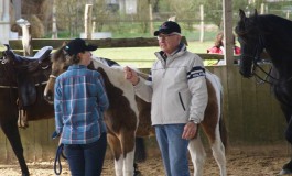 Stage éthologie-western avec Michel Ladouceur en avril en Normandie