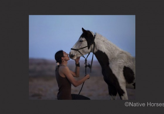 Tout le projet « Native Horses »