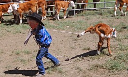 A la rencontre des western kids