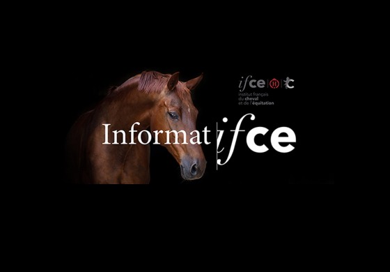 Pour suivre le fil d’information mensuel de l’Ifce, il suffit d’un clic