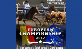 Ne manquez pas les Championnats d'Europe de tri de bétail en Belgique