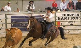 A l’European Championship 2017 de tri de bétail à Nivelles, carton plein pour les Belges, prophètes en leur pays. Les photos…