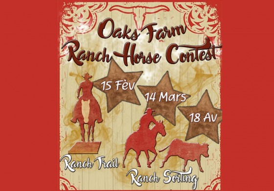 On s’inscrit vite au Ranch Horse Contest !