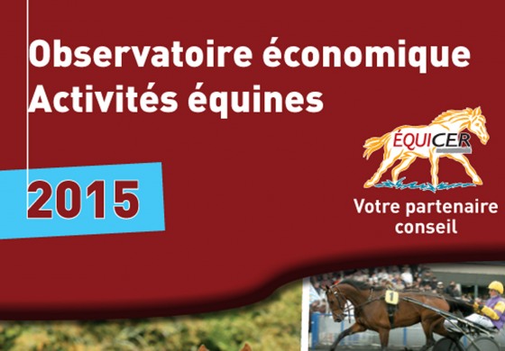 Professionnels, voici votre outil d’évaluation économique