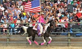 Nouvelle discipline Western : freestyle equestrian drill team