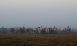 Il était une fois dans l’Ouest du Poitou… à suivre