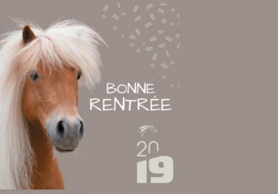 Enseignants, surfez sur la vague déployée par la FFE et sellez les poneys !