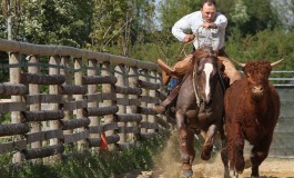 Versatile Ranch Horse Cup RHA 2014 Première Manche Contigné (49)