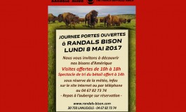 Le 8 mai 2017, les bébés bisons vous attendent à Lanuejols