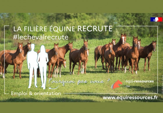 1 000 postes à pourvoir dans la filière équine