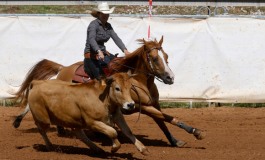 Reined Cow Horse - Changement de programme...