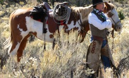 Road Book au Nevada avec les Buckaroos