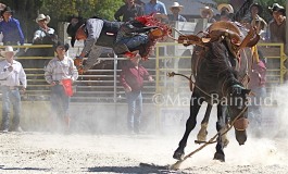 Année blanche pour Equiblues 2019