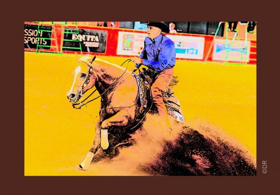 Reining : FEI et NRHA, la rupture
