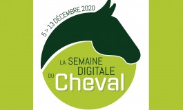 Un salon du cheval en visio !