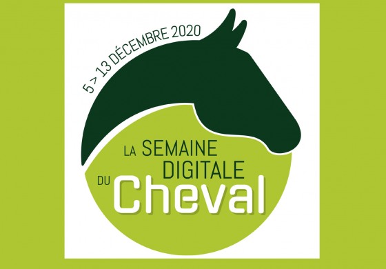 Un salon du cheval en visio !