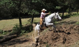 Extreme Trail Ranch chez Betty Jean en Corrèze les 5 et 6 août 2016