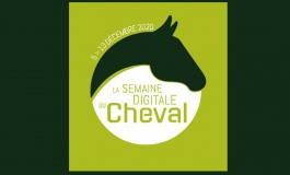 Des échanges à ne pas manquer lors de ce premier salon du cheval virtuel