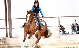Reining à Senas (13) > Jacs Little Pine Memorial & FBRP – LN Horses – 22 au 24 mai 2015