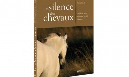 Un autre regard sur le cheval