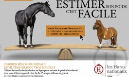 Le poids d’un cheval s’estime désormais en quelques clics…