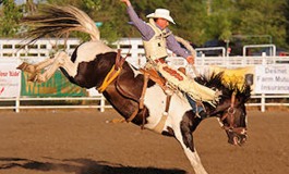 USA - South Dakota