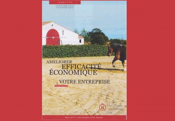Dirigeants de structure équestre : optimiser vos performances économiques avec l’Ifce