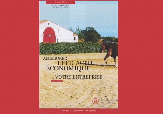 Dirigeants de structure équestre : optimiser vos performances économiques avec l’Ifce