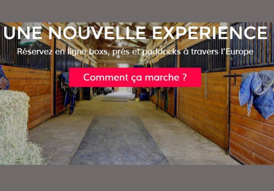Box vacant cherche cheval en déplacement et vice-versa