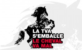 Mobilisation générale de la filière équine pour restaurer le taux réduit de TVA, une pétition est lancée, vous êtes tous invités à la signer.