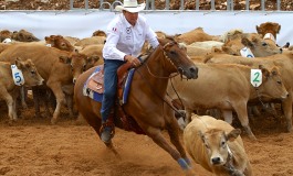 World Team Penning & Ranch Sorting