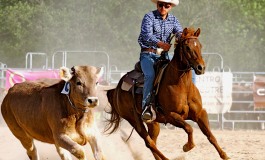 TEAM PENNING : Grand Prix France - Espagne