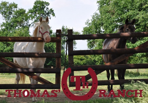 Au Thomas’ Ranch tous les cavaliers trouvent leur bonheur
