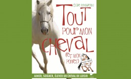 Le cheval au quotidien dans un guide drôle et précis