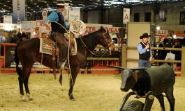 Le Salon du Cheval de Paris présente ce week-end un magnifique programme western